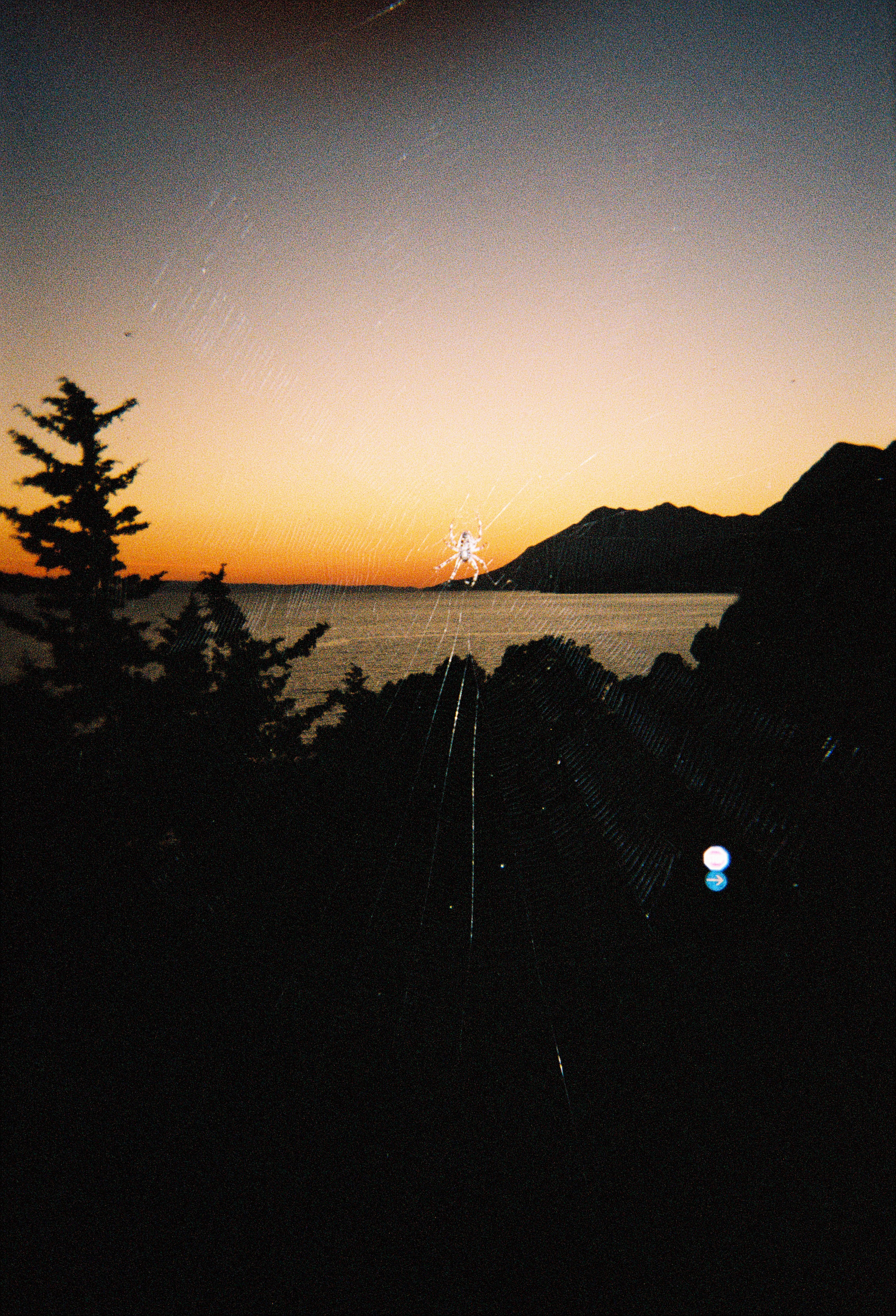 Gallery Photo 38